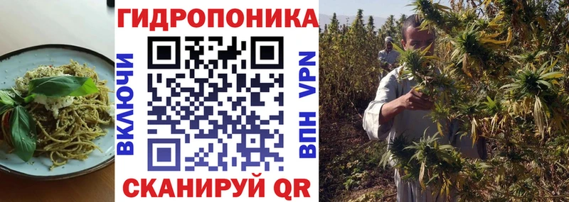 Canna-Cookies конопля  Владикавказ 