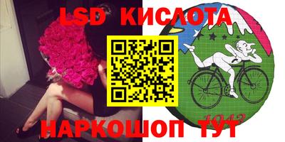 прущие крисы Аргун