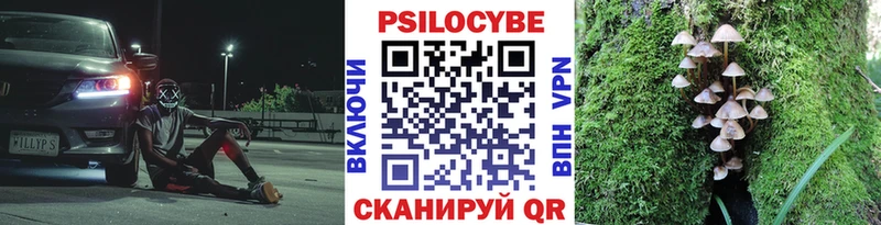 Галлюциногенные грибы Cubensis Владикавказ