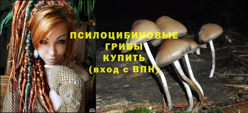 Псилоцибиновые грибы Magic Shrooms  Владикавказ 