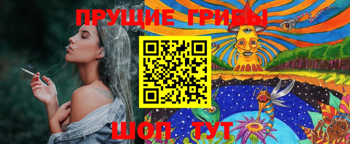 Галлюциногенные грибы Psilocybe Владикавказ