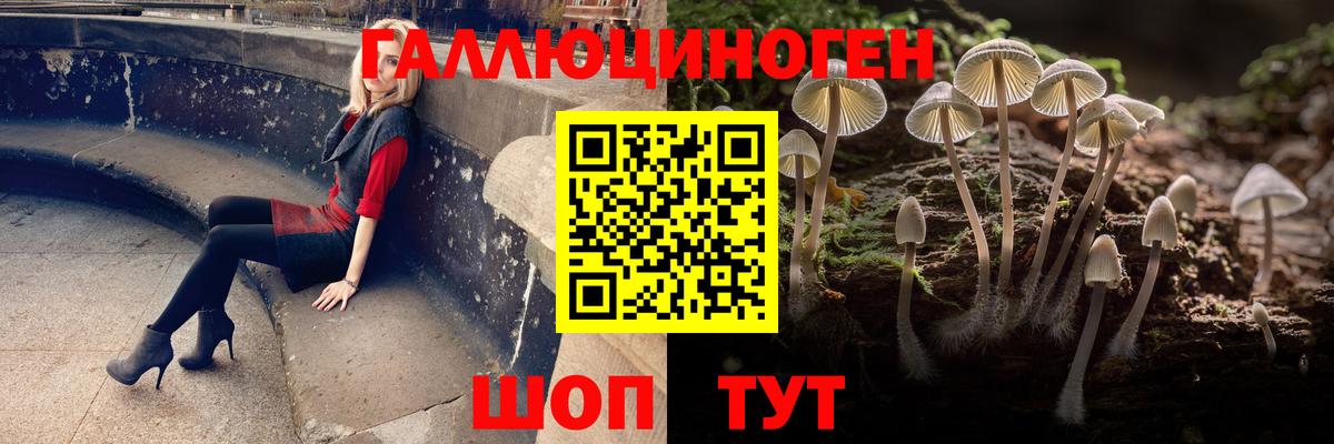 Псилоцибиновые грибы прущие грибы Владикавказ