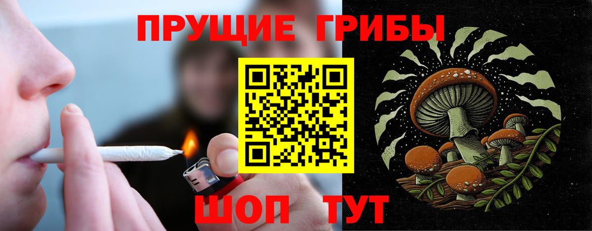 Псилоцибиновые грибы Psilocybine cubensis  Псилоцибиновые грибы Psilocybine cubensis  Владикавказ  Вход с VPN 